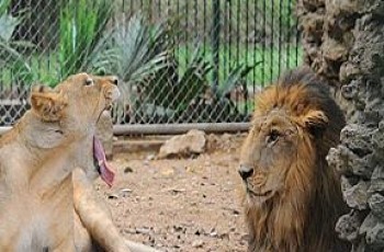 zoo park in karachi