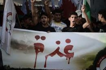 gaza war november 2012 protests