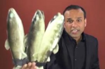 One Pound Fish Singer Shahid Nazir