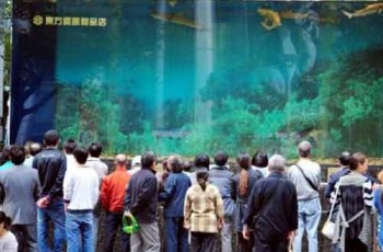 Shanghai-aquarium-break