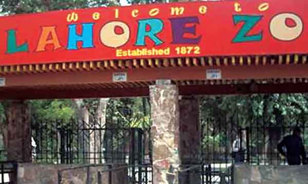 Lahore Zoo Board