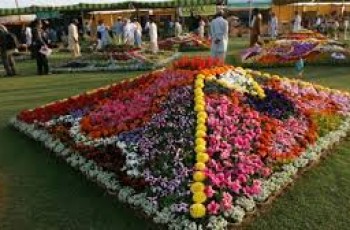 mirpurkhas flower show