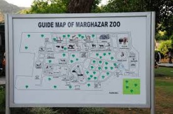 marghazar zoo islamabad