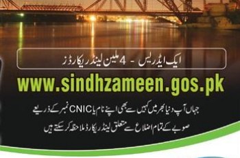 Sindh Zameen