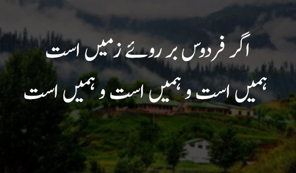 kashmir day quote