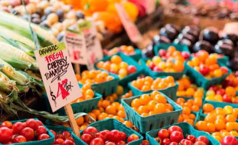 CDA Set to Launch Islamabad’s First-Ever Organic Market